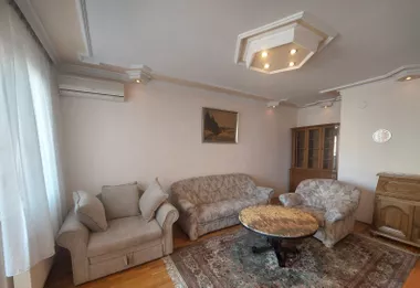 Miše Dimitrijevića