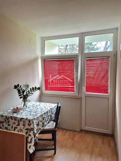 Jovana Bijelića | 4zida.rs