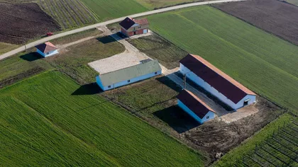 Donja Trešnjevica | 4zida.rs