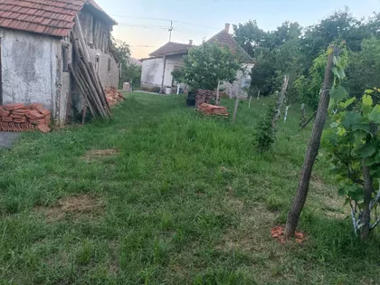 Ustanička | 4zida.rs