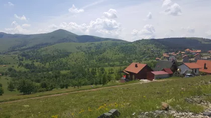 Jelje | 4zida.rs