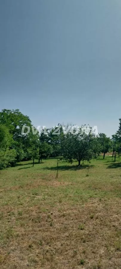 Čortanovci | 4zida.rs