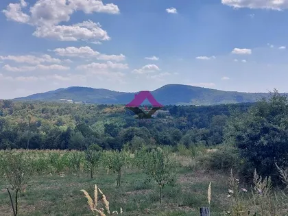 Stefana Lazarevića | 4zida.rs