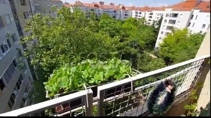 Bulevar Zorana Đinđića | 4zida.rs