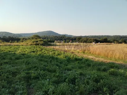 Žunje | 4zida.rs
