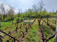 Majur, Okolne lokacije, Jagodina | 4zida.rs