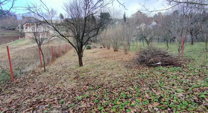 Plac | 4zida
