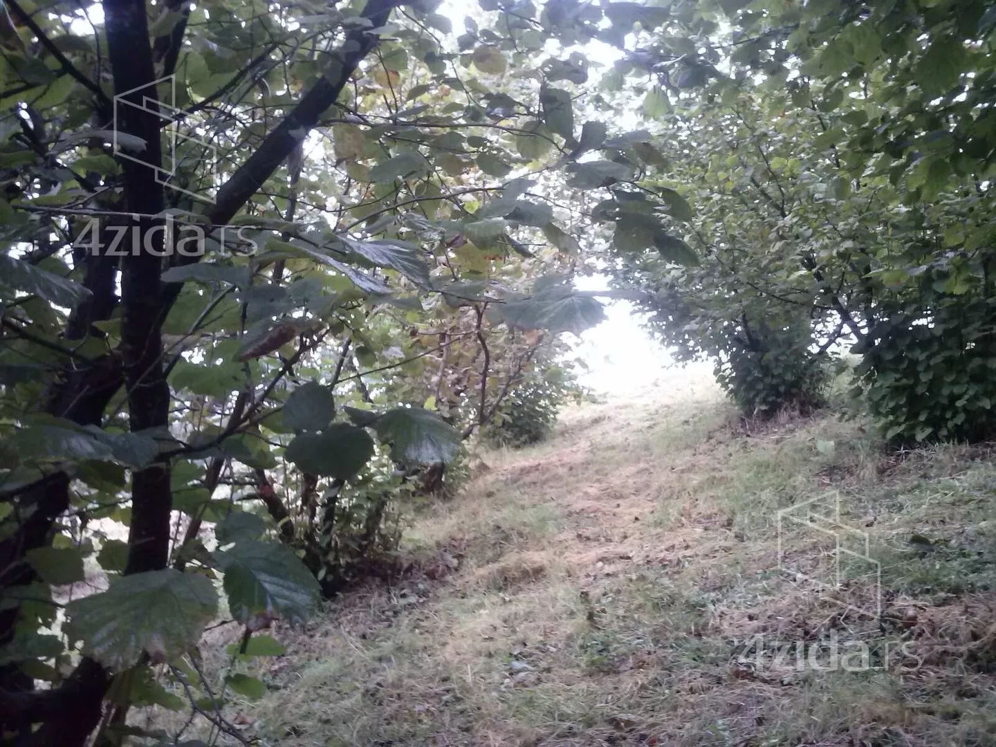 Poljoprivredno zemljište | 4zida