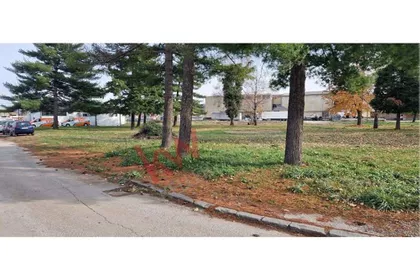 Milice Milojković | 4zida.rs