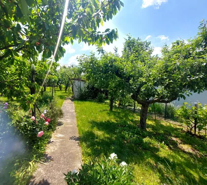Beloševac | 4zida.rs