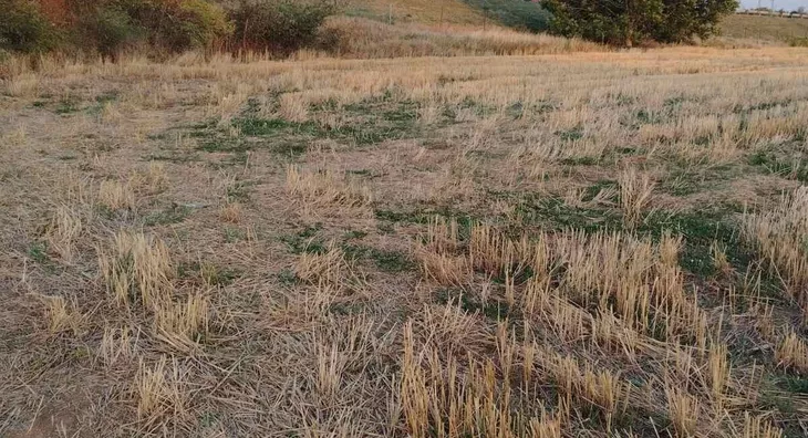 Poljoprivredno zemljište | 4zida