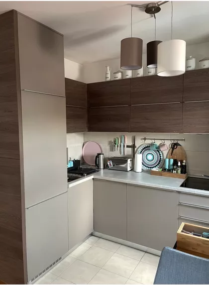 Steve Žigona 43 | 4zida.rs