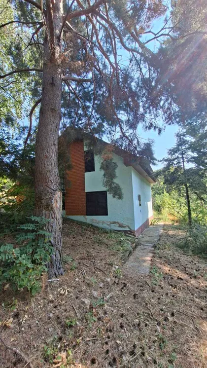 Radovašnica | 4zida.rs