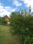 Beograd, Grocka opština, Zaklopača | 4zida.rs | 4zida.rs