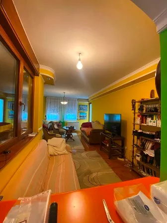 Ulofa Palmea | 4zida.rs