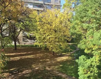 Dzona Kenedija | 4zida.rs