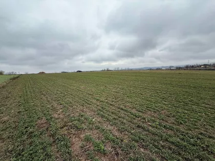 Puckaroš | 4zida.rs