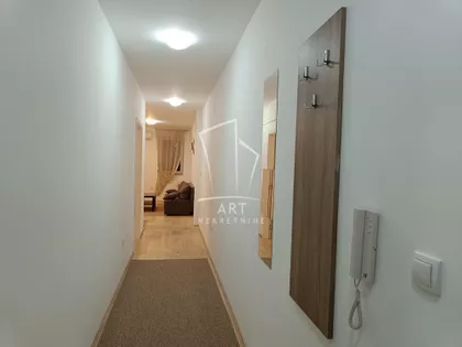 Živka Petrovića | 4zida.rs