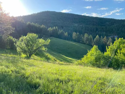 Kobilja Glava | 4zida.rs
