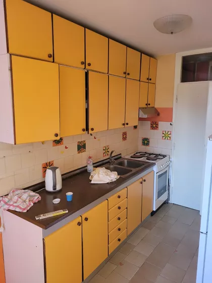 Dr Svetislava Kasapinovića | 4zida.rs