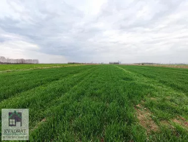 Zvečka