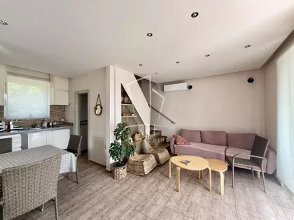 Dr Ivana Ribara | 4zida.rs