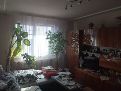 Dušana Petrovića 11 | 4zida.rs
