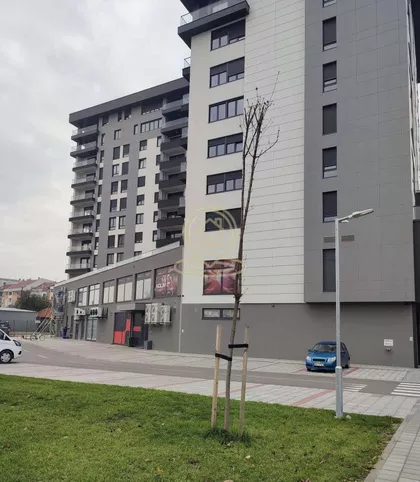 Branka Bajica | 4zida.rs
