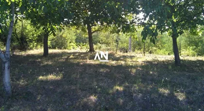 29. novembra | 4zida.rs