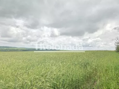 Dučina | 4zida.rs