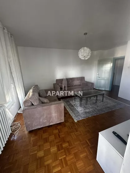 Dr Ivana Ribara | 4zida.rs