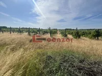 Hajdukovo, Okolne lokacije, Subotica | 4zida.rs