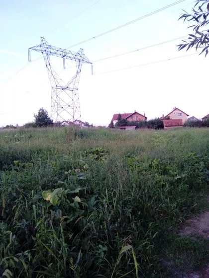 Vladimira Rajkovica - Veliki lug | 4zida.rs