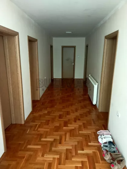 Pasi poljana | 4zida.rs