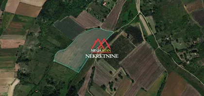Karlovačkih Vinogradara | 4zida.rs