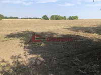 Aleksandrovo, Gradske lokacije, Subotica | 4zida.rs