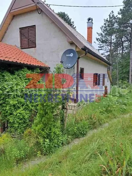 Mrčići | 4zida.rs