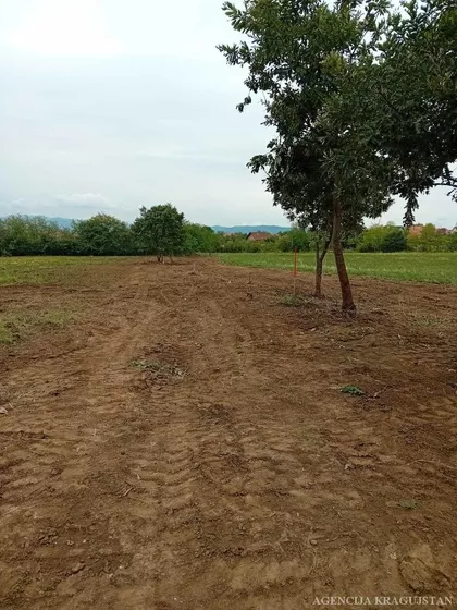 Šumarice | 4zida.rs