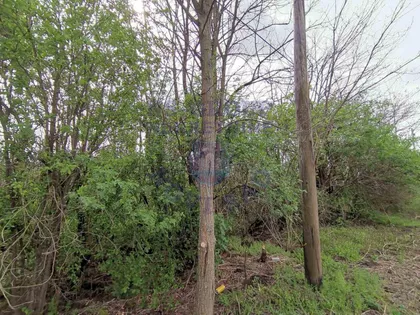 Pejićevi Salaši | 4zida.rs