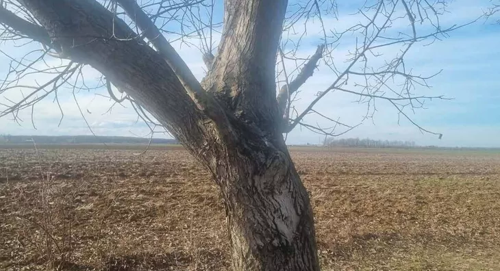 Poljoprivredno zemljište | 4zida