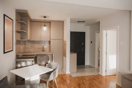 Lajoša Joa 46 | 4zida.rs