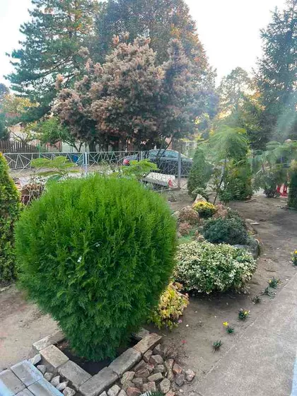Palić | 4zida.rs