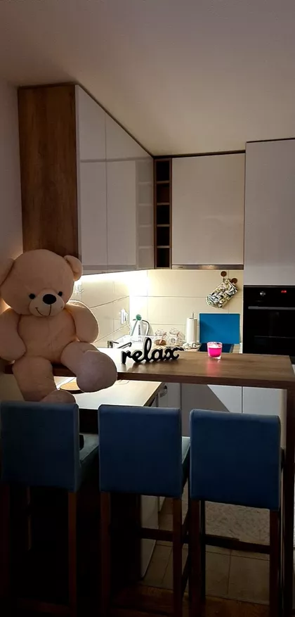 Nemanjina | 4zida.rs