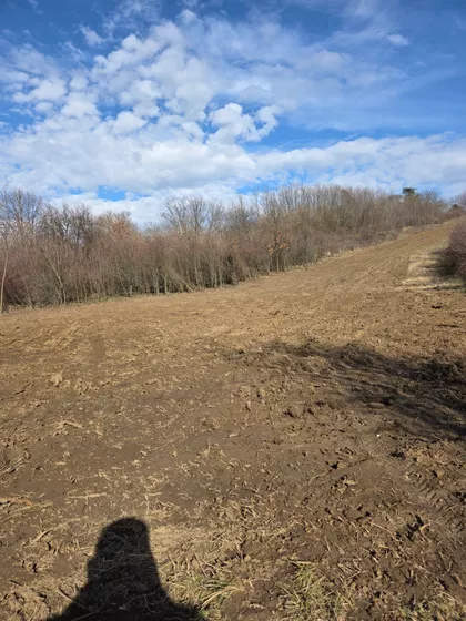 Save Kovačevića | 4zida.rs