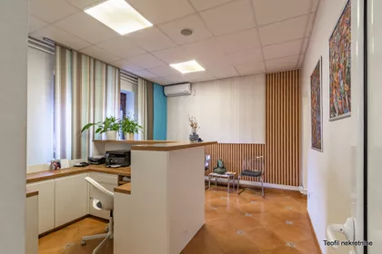 Cara Dušana | 4zida.rs