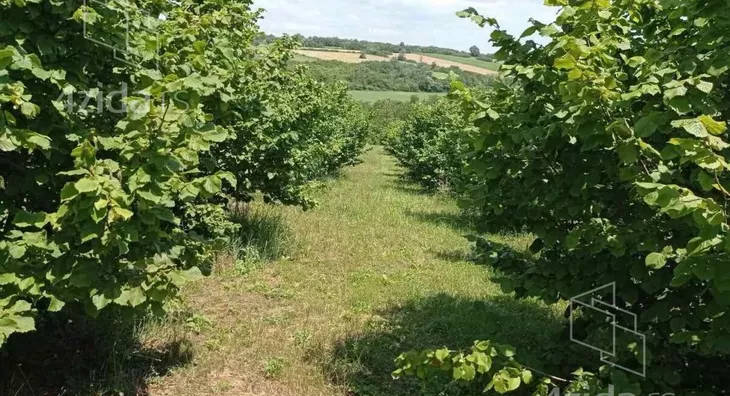 Poljoprivredno zemljište | 4zida