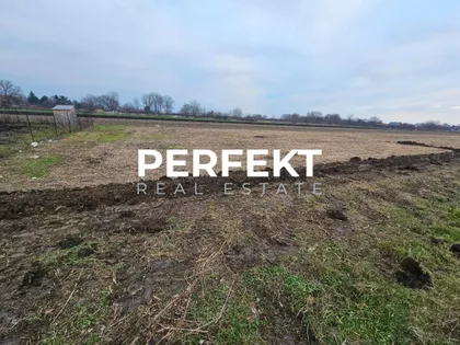 Šarplaninska | 4zida.rs