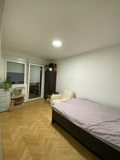 Žarka Zrenjanina | 4zida.rs