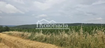 Nemenikuće | 4zida.rs