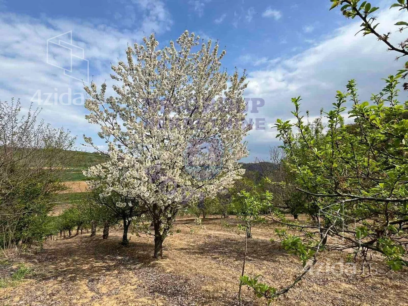 Poljoprivredno zemljište | 4zida